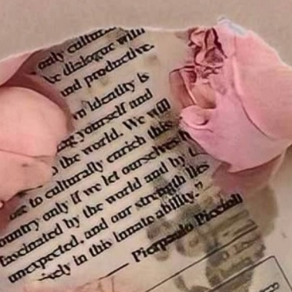 bellamor_rose